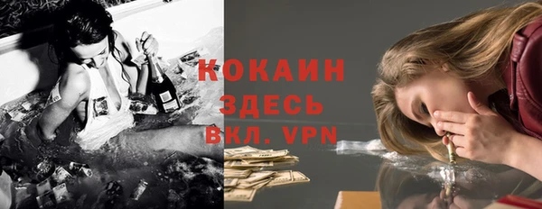 гидра Арсеньев