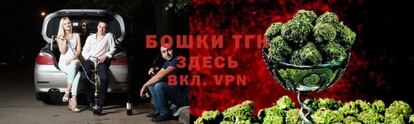 гидра Арсеньев