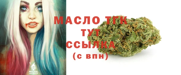 гидра Арсеньев