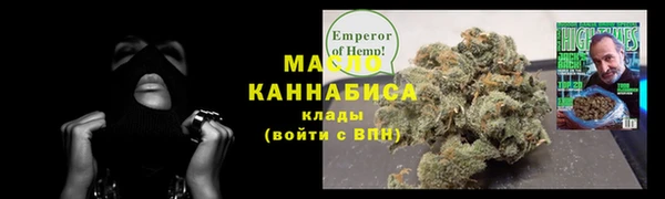 гидра Арсеньев