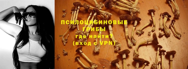 гидра Арсеньев