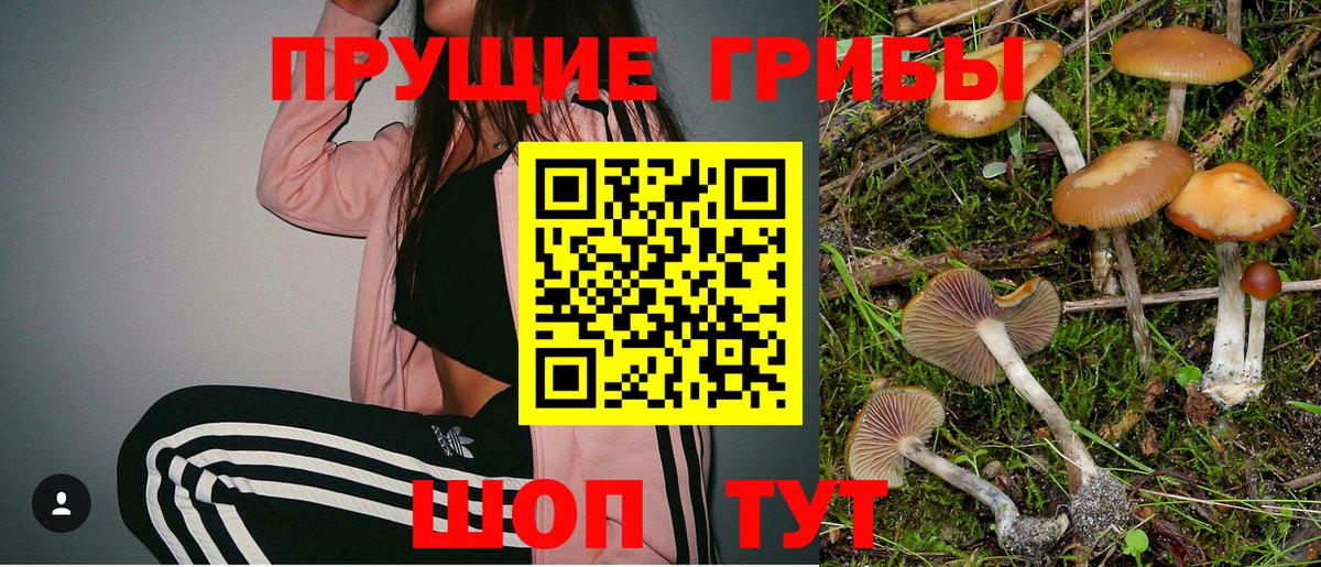 Галлюциногенные грибы MAGIC MUSHROOMS  Вход с VPN  Сунжа  Галлюциногенные грибы Cubensis 